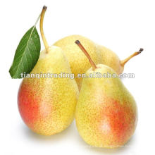 hebei ya pear